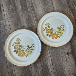 Vintage 70s Spring Garden Baroque Hearthside Stoneware Salad Plate Bundle